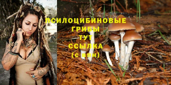 спайс Абинск