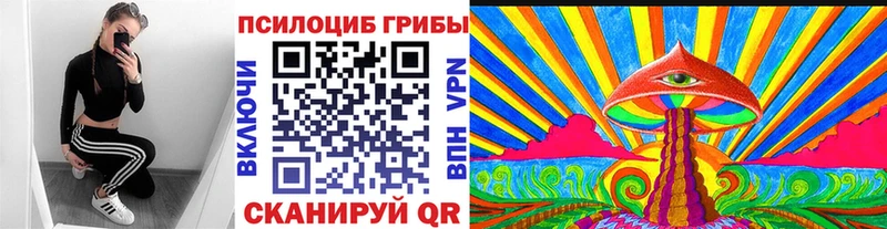 цены наркотик  Холмск  Псилоцибиновые грибы MAGIC MUSHROOMS 